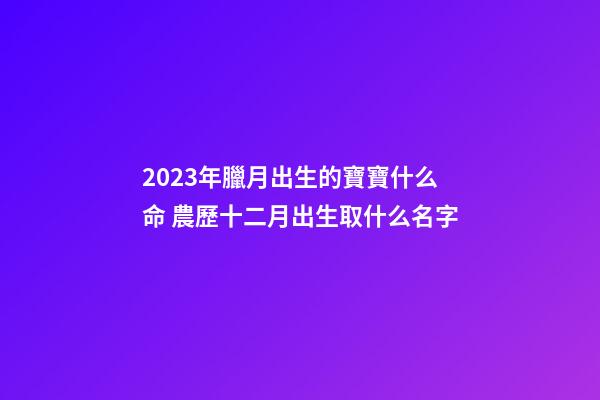 2023年臘月出生的寶寶什么命 農歷十二月出生取什么名字